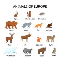 an image of animals of europe