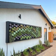 a wall mounted with plants on the side of a building