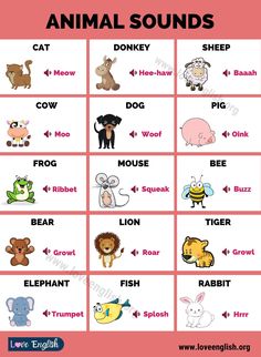 an animal sounds chart with animals and their names