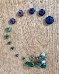 blueberries and flowers are arranged on a wooden surface