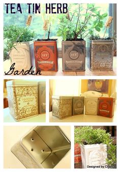 tea tin herb garden boxes are shown in four different styles and sizes, with the words'tea tin herb'written on them