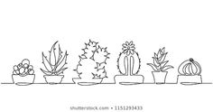 a line drawing of cactuses and succulents