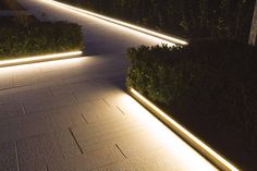 an outdoor walkway lit up at night with lights on the sides and bushes in the background