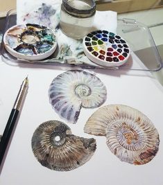 an artist's desk with various seashells and paintbrushes on it