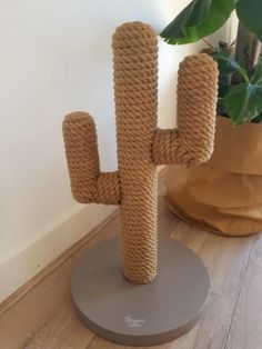 a large cactus plant sitting on top of a wooden table