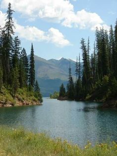 a lake surrounded by trees with mountains in the background