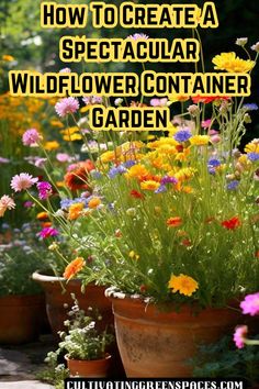 some potted plants and flowers with the words how to create a spectacular wildflower container garden