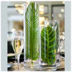 there is a green plant in the glass vases on the table with wine glasses