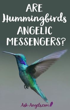 a hummingbird with the words are hummingbirds angelic messengerers?