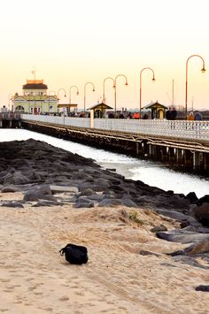 a black dog laying on top of a sandy beach next to a body of water