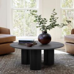 a living room with two couches and a coffee table in front of a window