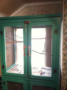 a green cabinet with glass doors in a room