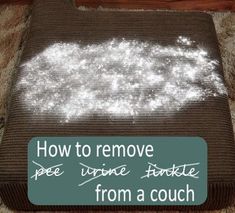 a couch covered in white powder on top of a brown rug with the words how to remove pet urine from a couch