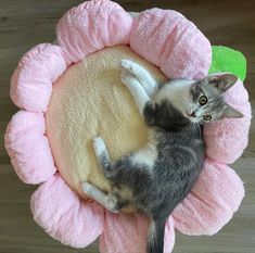 a cat laying on top of a pink flower shaped bed