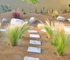 a garden with rocks and grass on the ground