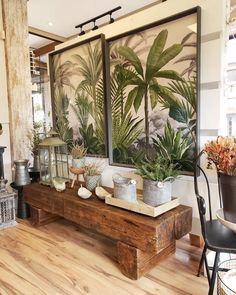 a room filled with lots of potted plants on top of a wooden table