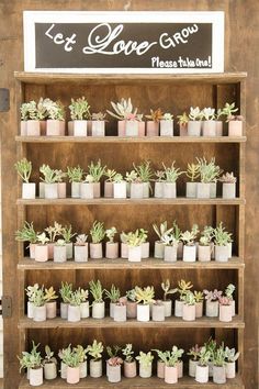 a shelf filled with lots of potted plants next to a sign that says love grow