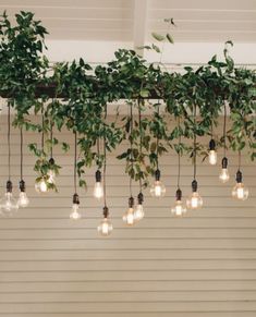 a bunch of lights hanging from a ceiling with plants growing on it and some light bulbs in the middle