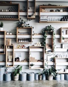 many shelves with plants and pots on them