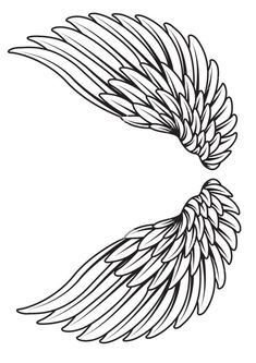 the wings of an angel are drawn in black and white, with one wing extended