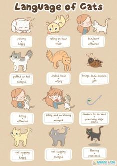 the language of cats is shown in this cartoon character's hand - drawn version