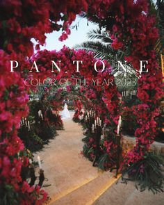 the cover of pantone's color of the year 2013, featuring red flowers