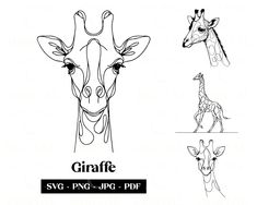 the giraffe is drawn in three different styles and colors, including black and white