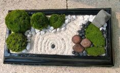 a black tray with rocks and plants in it sitting on the ground next to a sidewalk