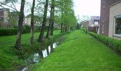 there is a small stream running between two buildings