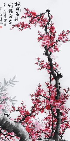 Sumi E, Chinese Traditional, Chinese Painting, Cherry Blossoms, Chinese Art, Asian Art, Red Flowers, Japanese Art, Cherry Blossom