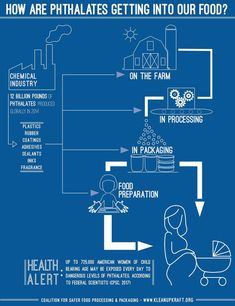 the diagram shows how we are getting into our food system, and what they mean to be