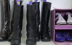 four pairs of shoes are lined up next to each other in front of a purple shoe rack