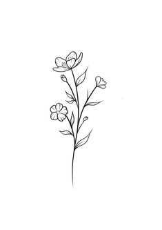 a black and white drawing of flowers on a white background