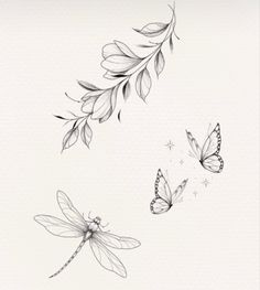 two butterflies flying next to each other on a white background