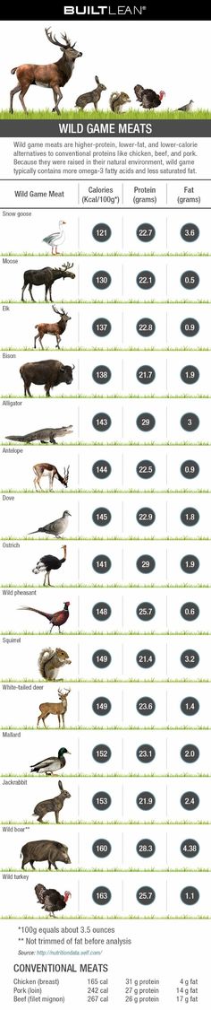 an info sheet showing different types of fish