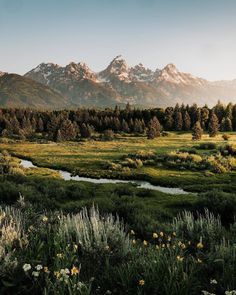 the mountains are covered in snow and green grass, with small stream running through it