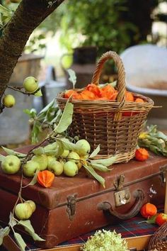 an old suitcase with apples in it sitting next to a basket on top of it