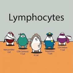 an image of lymphoctes in different colors