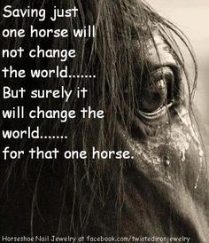 a horse with the words saving just one horse will not change the world but surely it will change the world for that one horse