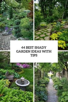 Shady Garden Ideas Landscapes, Landscape Ideas For Shady Side Of House, Shady Garden Ideas Uk, Shady Border Plants Uk, Shady Front Yard Landscaping, Shaded Garden Ideas, Shady Backyard Ideas, Shady Garden Ideas, Shaded Backyard