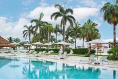 an outdoor swimming pool with lounge chairs and umbrellas next to palm trees in the background