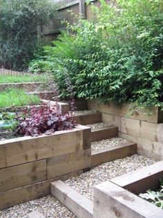 an outdoor garden with wooden steps and plants