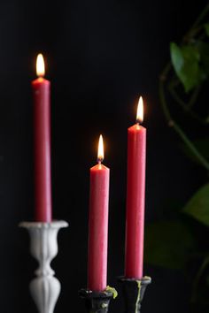 three candles are lit in front of a candle holder on a black table with greenery