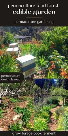 an image of a garden with beehives and flowers in it, including the words permaculture food forest edible garden