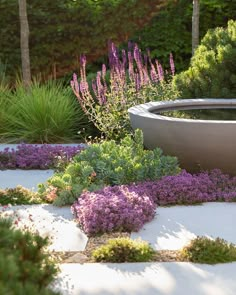 an outdoor garden with purple flowers and plants in the center, surrounded by concrete slabs