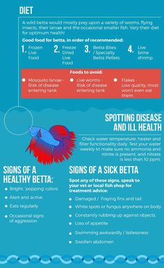 the health benefits of beta fish info