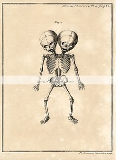 two skeletons standing next to each other in front of an old book with the caption's title