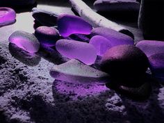 purple rocks and pebbles on the beach at night time with light coming from behind them