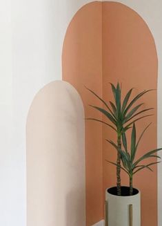 a potted plant sitting on top of a table next to a white vase with a green plant in it