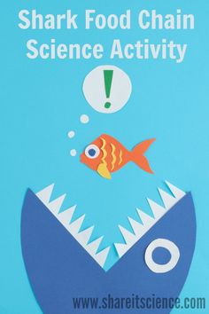 a poster with an image of a fish and a thought bubble above it that says shark food chain science activity